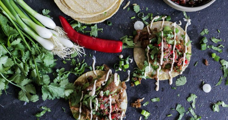 Weder Fisch, noch Fleisch, noch Soja: Pulled Midori Tacos